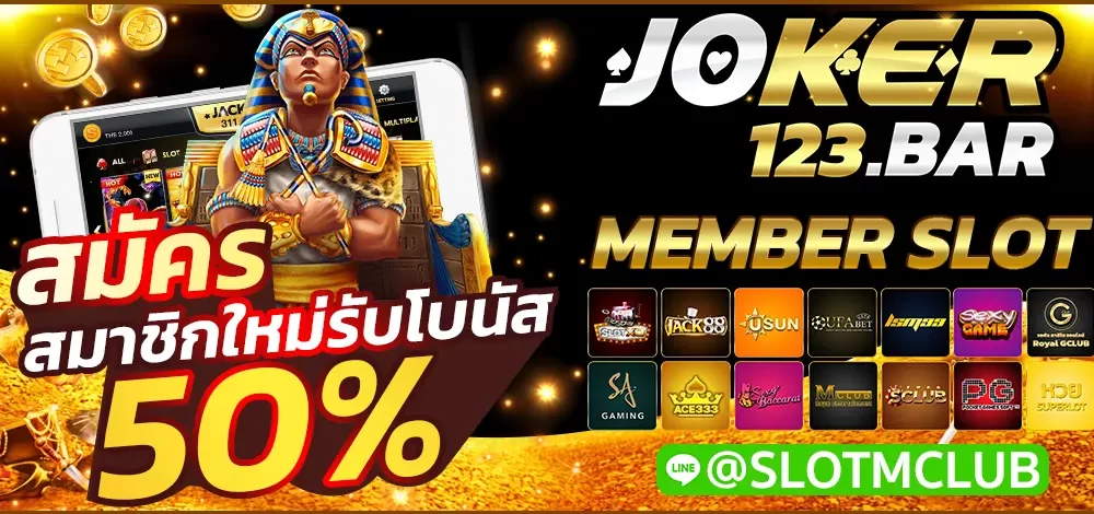 MEMBER SLOT