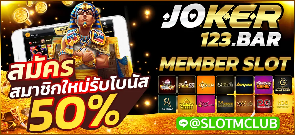 MEMBER SLOT